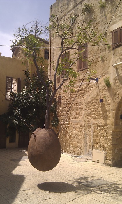 A floating orange tree in Jaffa.